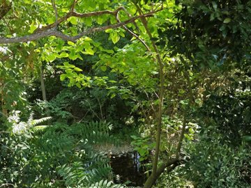 44a44d27207a9d20228cc0055be98eea73a69cccbb192