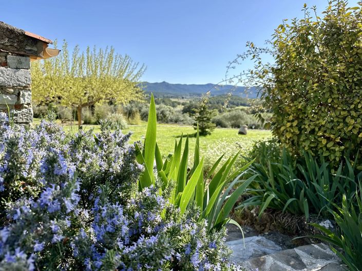 Image No.5-Maison de 10 chambres à vendre à Moissac-Bellevue