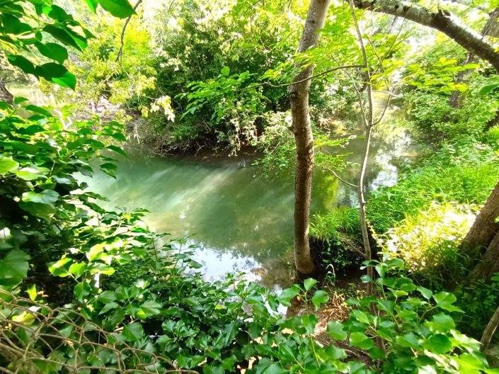 Image No.13-Maison de 4 chambres à vendre à Bergerac