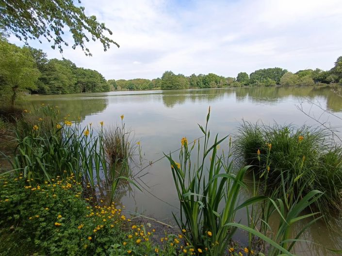 Image No.12-Maison de 6 chambres à vendre à L'Isle-Jourdain