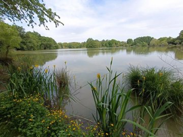 4be368e351bd0bf03f0df037f68c3182acef111d99192