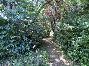 bcb9c58b4b68b6f90aa1ca27349c0aba7e13b518a9192