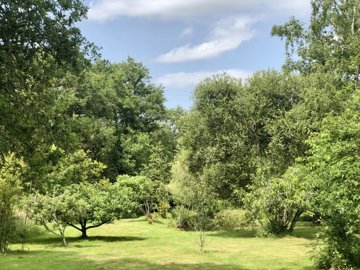 b9367348539fd5647f66c9f98751770d71a261cfef192