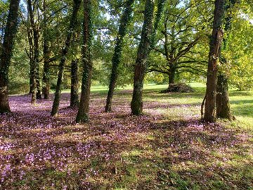 20dc32791a95f4490d24722b40618e712eaa092717400