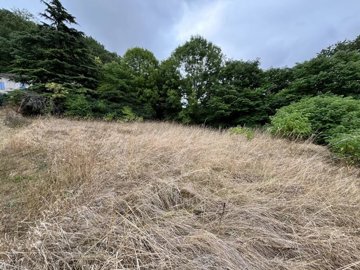 2edb547590568a5845c6ca57bad34a90d620a62ec0192