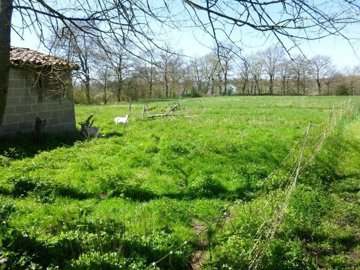 a2fda11f3427d543d8c66a952f6fa2bf76d6cfcdba800