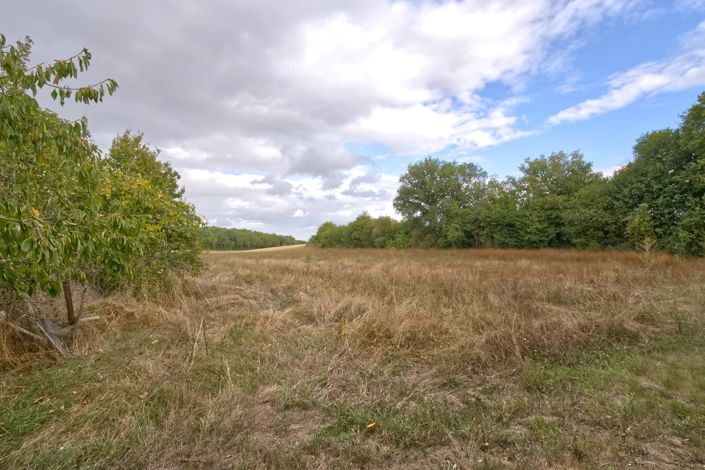 Image No.15-Ferme de 4 chambres à vendre à Villefagnan