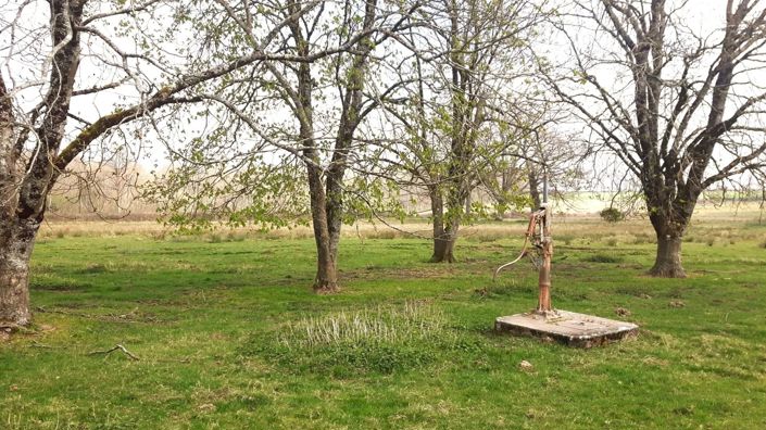 Image No.13-Maison de 1 chambre à vendre à Bussiere-Poitevine