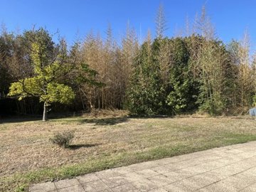 ed4e42f4266eef444048cfafd707665b5a7ccd068d192