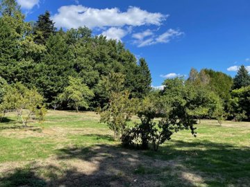 1a56395e79a10cb3e6bce1fd0baa0132e96834a22d192