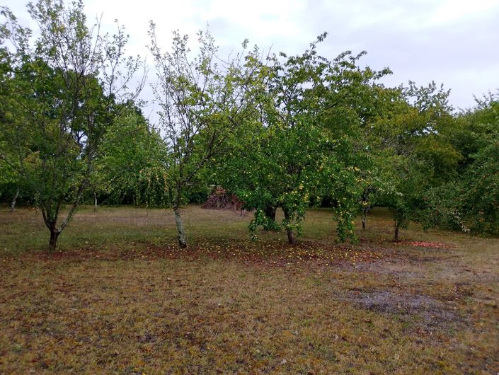 Image No.3-5 Bed House for sale