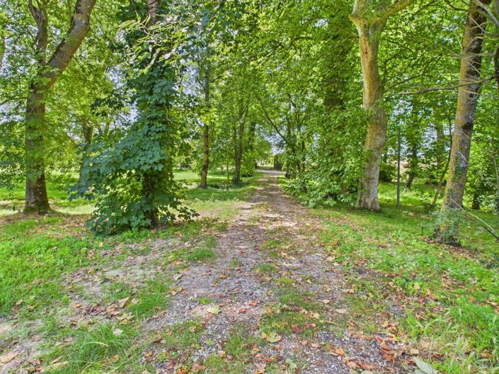 Image No.15-Maison de 9 chambres à vendre à Carbes