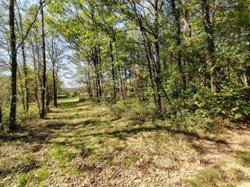 0eedd46818c9105279c0492243246a45d80e4da49d192