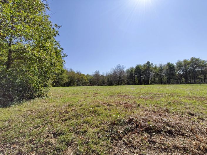 Image No.3-Property for sale