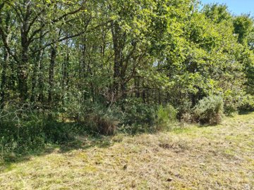 3ad880dc2179388738f164c84ffa35a957449bcdfa192