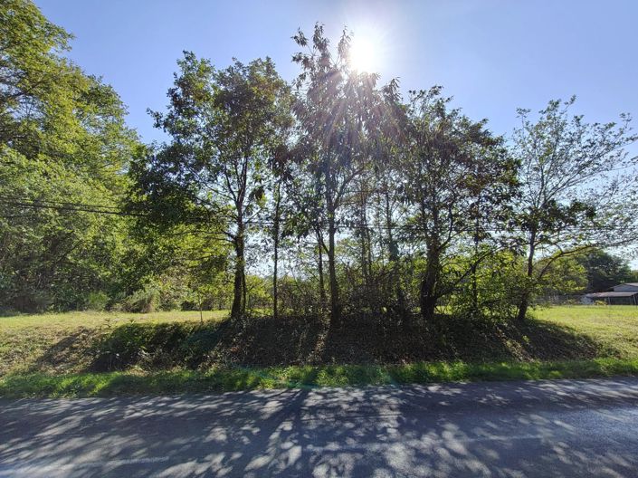 Image No.5-Property for sale