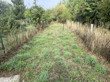 22ca85b09f70456e610ce807f24630405fdc8245ae192