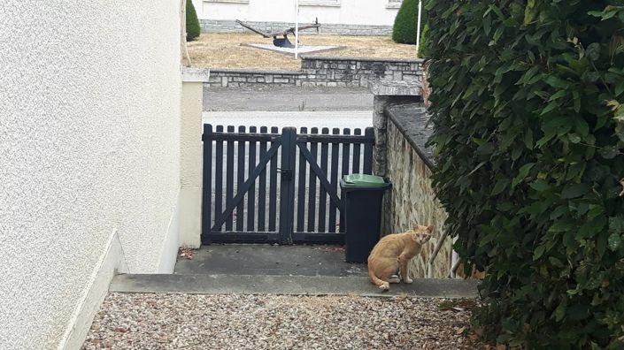 Image No.12-Maison de 4 chambres à vendre à Val-d'issoire