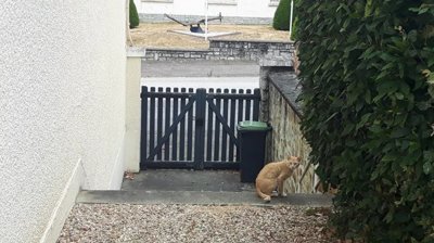 ccee1440b190d6af4bf8b59bf2a710d983c0fbbae1192