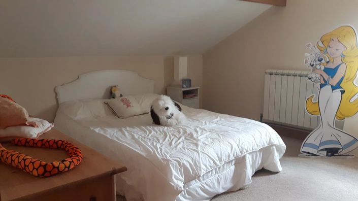 Image No.8-Maison de 4 chambres à vendre à Val-d'issoire