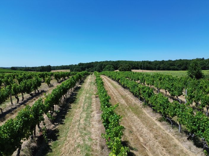 Image No.5-Maison de 3 chambres à vendre à Issigeac
