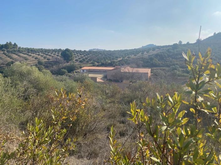 Image No.2-12 Bed House for sale