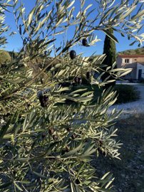 457c664ca80bee6505abe4736f0596050ca9e3a7ee192