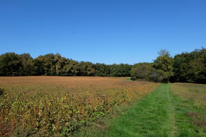 Image No.11-Maison de 2 chambres à vendre à Miramont-de-Guyenne
