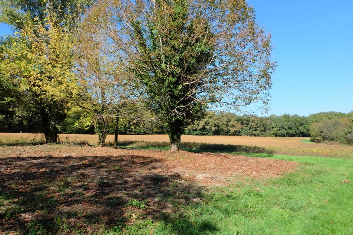 Image No.6-Maison de 2 chambres à vendre à Miramont-de-Guyenne