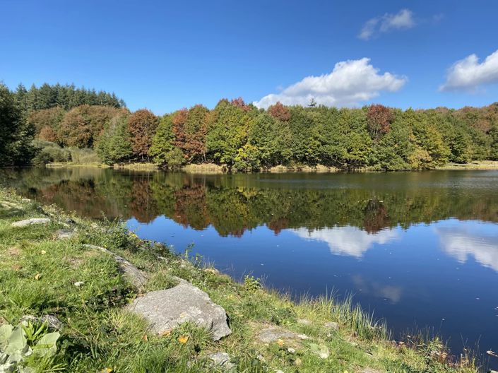 Image No.2-Maison de 2 chambres à vendre à Aude