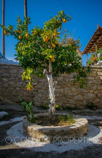 Image No.24-Chalet de 1 chambre à vendre à Kyparissia