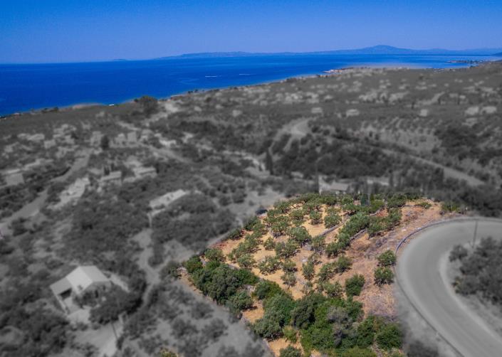 Image No.4-Plot for sale