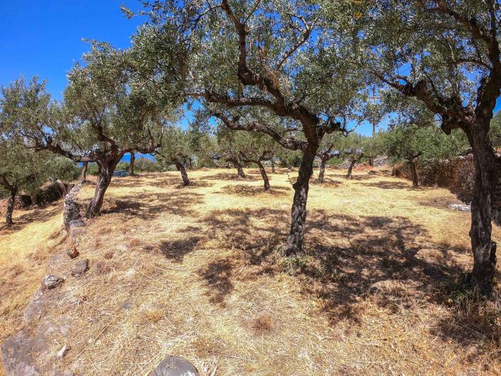 Image No.20-Plot for sale