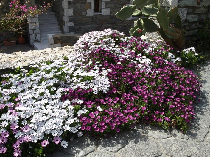 Image No.15-30 Bed Hotel for sale