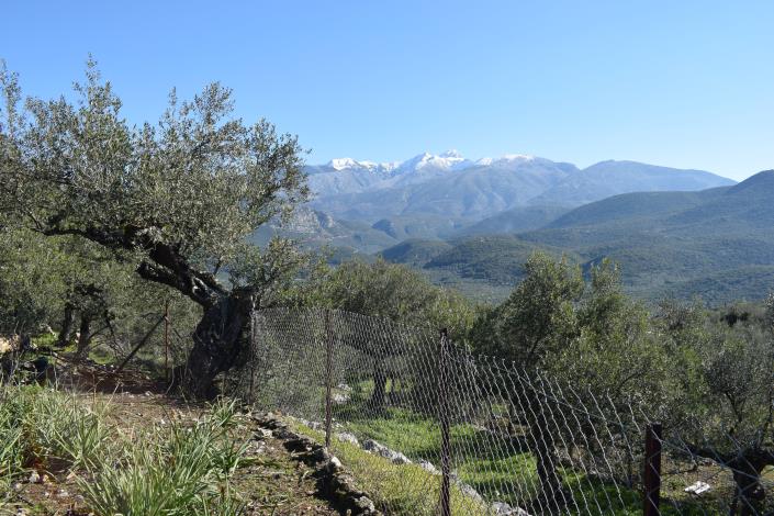Image No.11-Maison de campagne de 2 chambres à vendre à Messinia