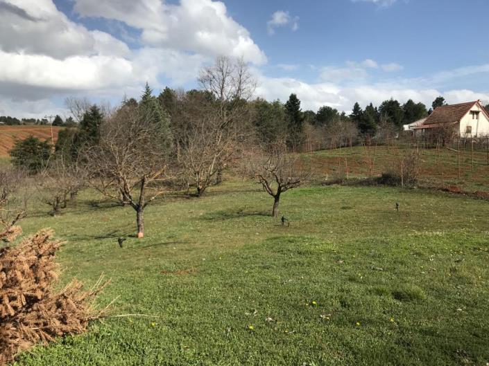 Image No.6-Villa de 4 chambres à vendre à Xylokastro