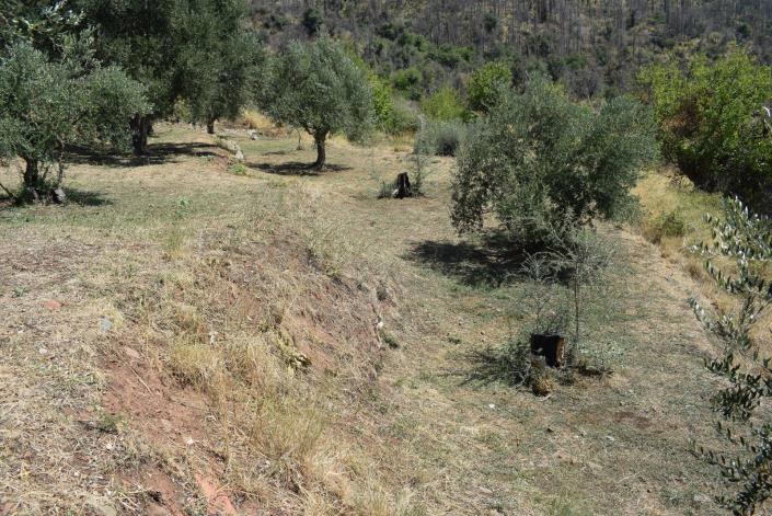 Image No.16-Bungalow de 2 chambres à vendre à Meligalas