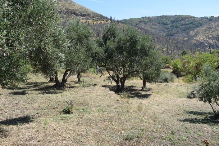 Image No.18-Bungalow de 2 chambres à vendre à Meligalas