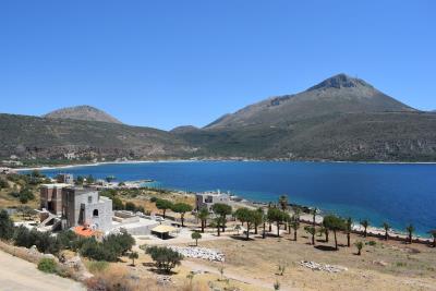 img_3caa9e92-253a-43ea-b550-a8c1f281cc5e