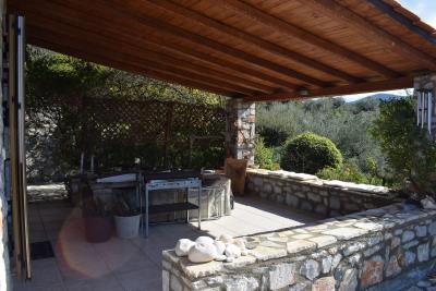 Real-Estate-1043--2-