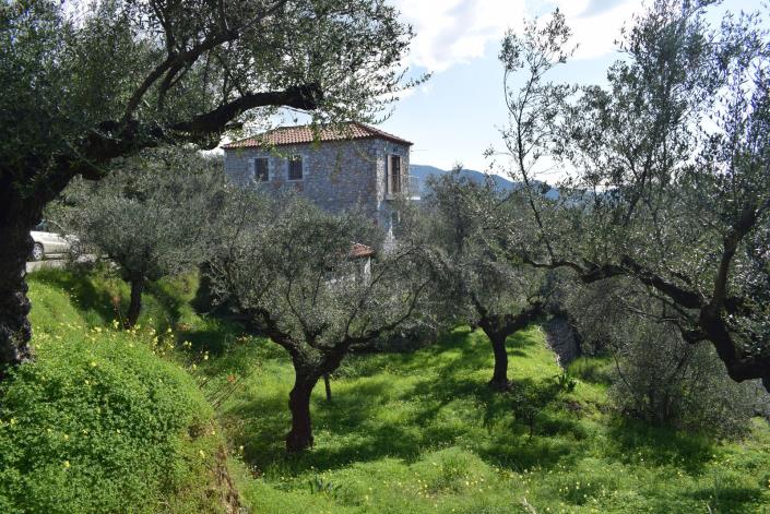 Image No.21-Villa de 3 chambres à vendre à Kalamata