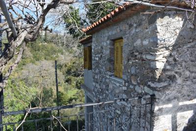 Real-Estate-1044--11-