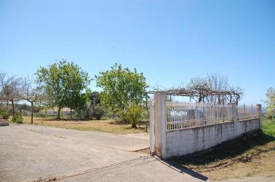 Real-Estate-1045--2-