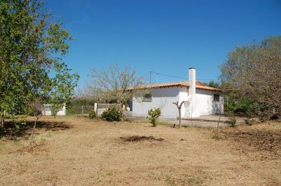 Real-Estate-1045--6-