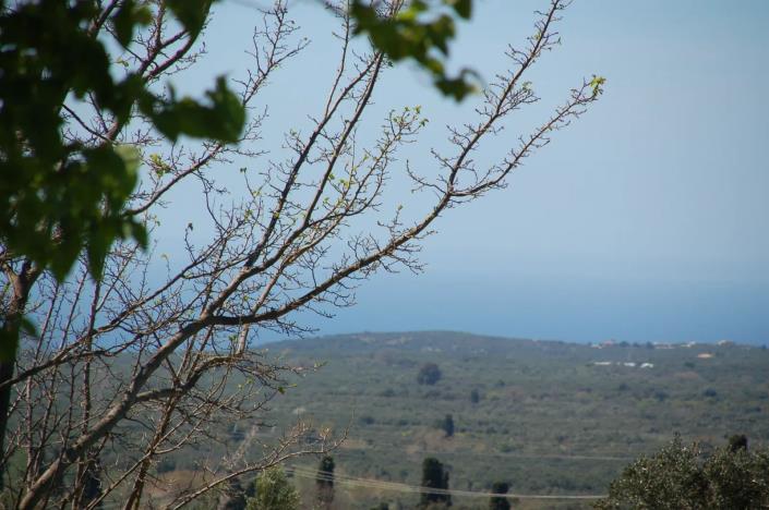 Image No.17-Bungalow de 2 chambres à vendre à Gialova