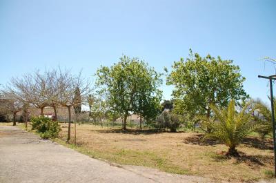 Real-Estate-1045--9-