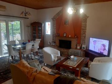 Real-Estate-1051-17-