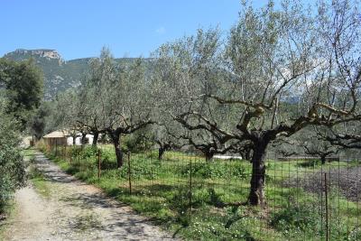 Real-Estate-1058--1-