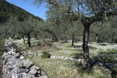 Real-Estate-1058--2-