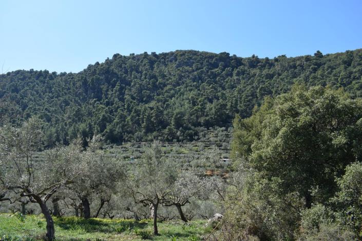 Image No.4-Bungalow à vendre à Messinia